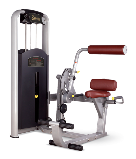 Back extension Bronze Gym MV-009