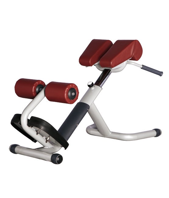 Hyperextension Bronze Gym H-026A