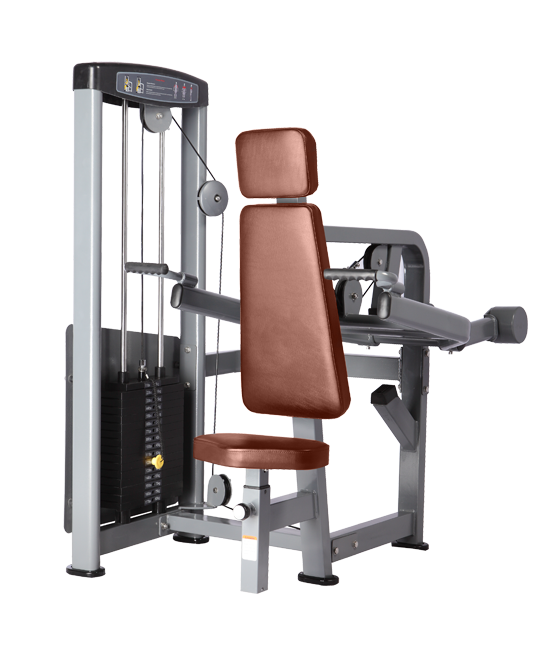 Triceps machine Bronze Gym D-007