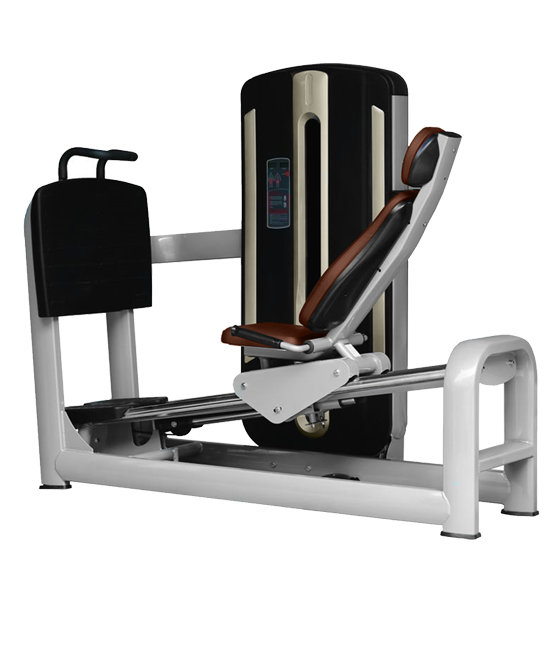 Leg press Bronze Gym MNM-015